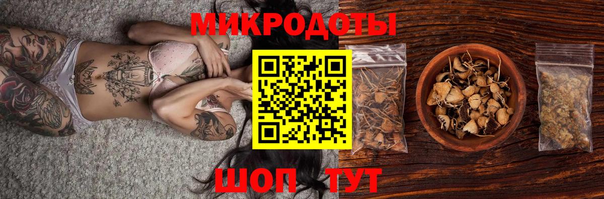 Галлюциногенные грибы Psilocybe Отрадный