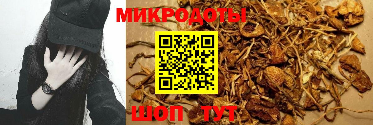 Галлюциногенные грибы ЛСД  Вход с VPN  Отрадный 